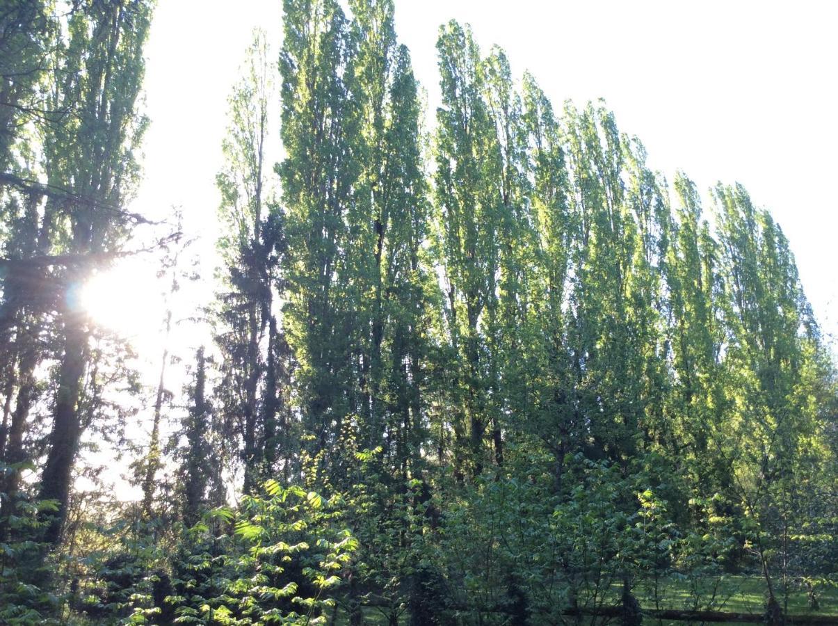 Domaine De La Clef Des Champs Bed and Breakfast Limeray Exteriör bild